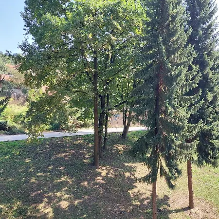 Sevojno Studio *
