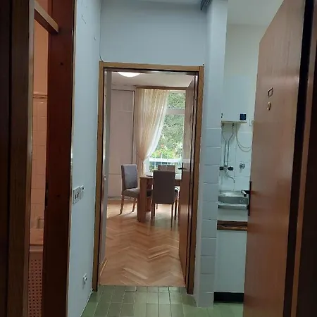 Sevojno Studio Apartment Sevojno