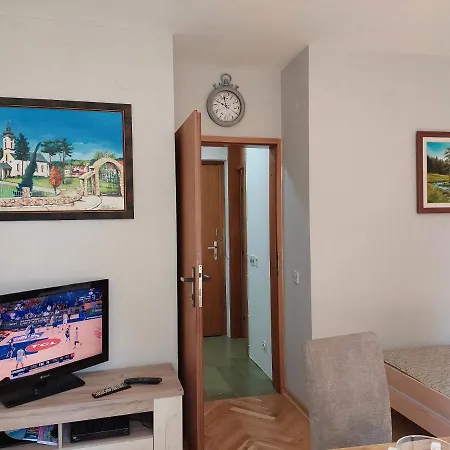 Apartment Sevojno Studio *