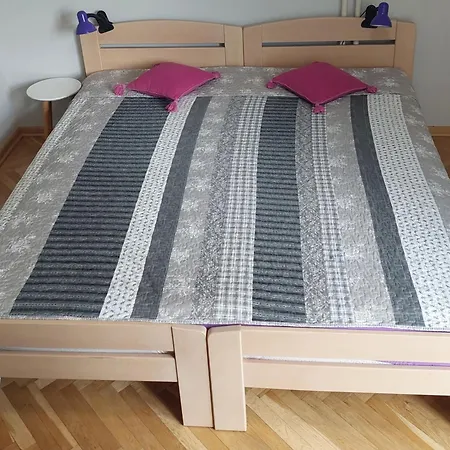 Apartment Sevojno Studio *