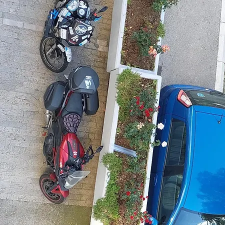 Sevojno Studio * Sevojno