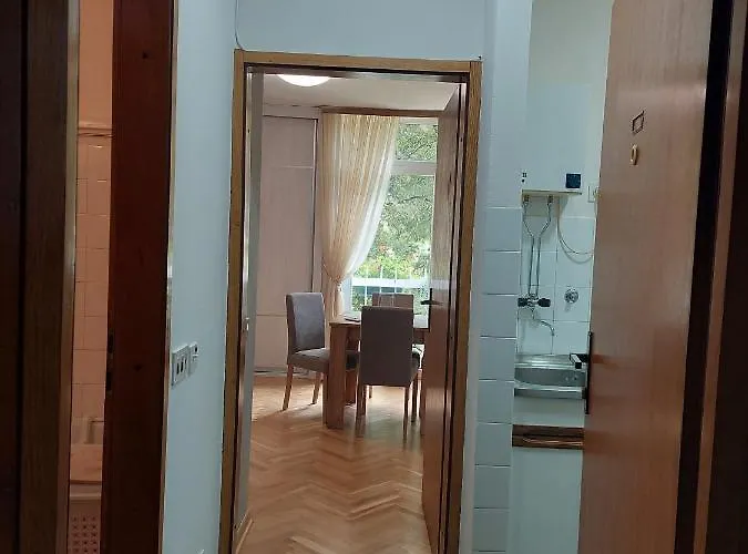 Sevojno Studio アパート Sevojno