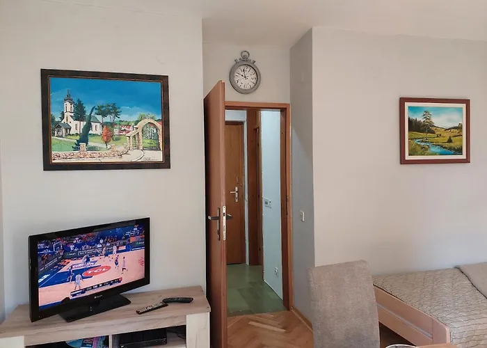 アパート Sevojno Studio *