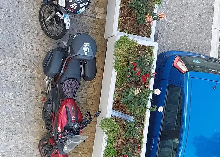 Sevojno Studio * Sevojno